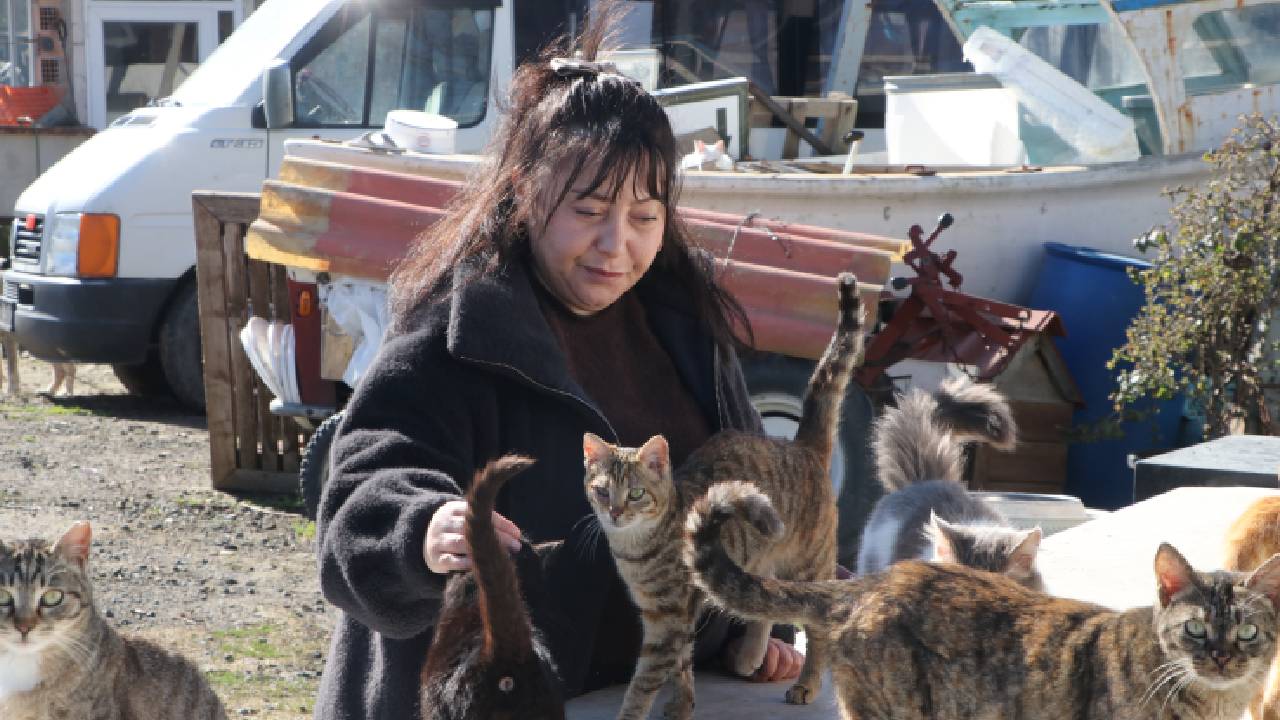 Tekirdağ'da yaşayan Selma Demir, 10 yıldır sokak kedileri için gönüllü besleme ve tedavi faaliyetleri yürütüyor. Yüzlerce kediyi sahiplendiren Demir'in ilham veren hikayesi.